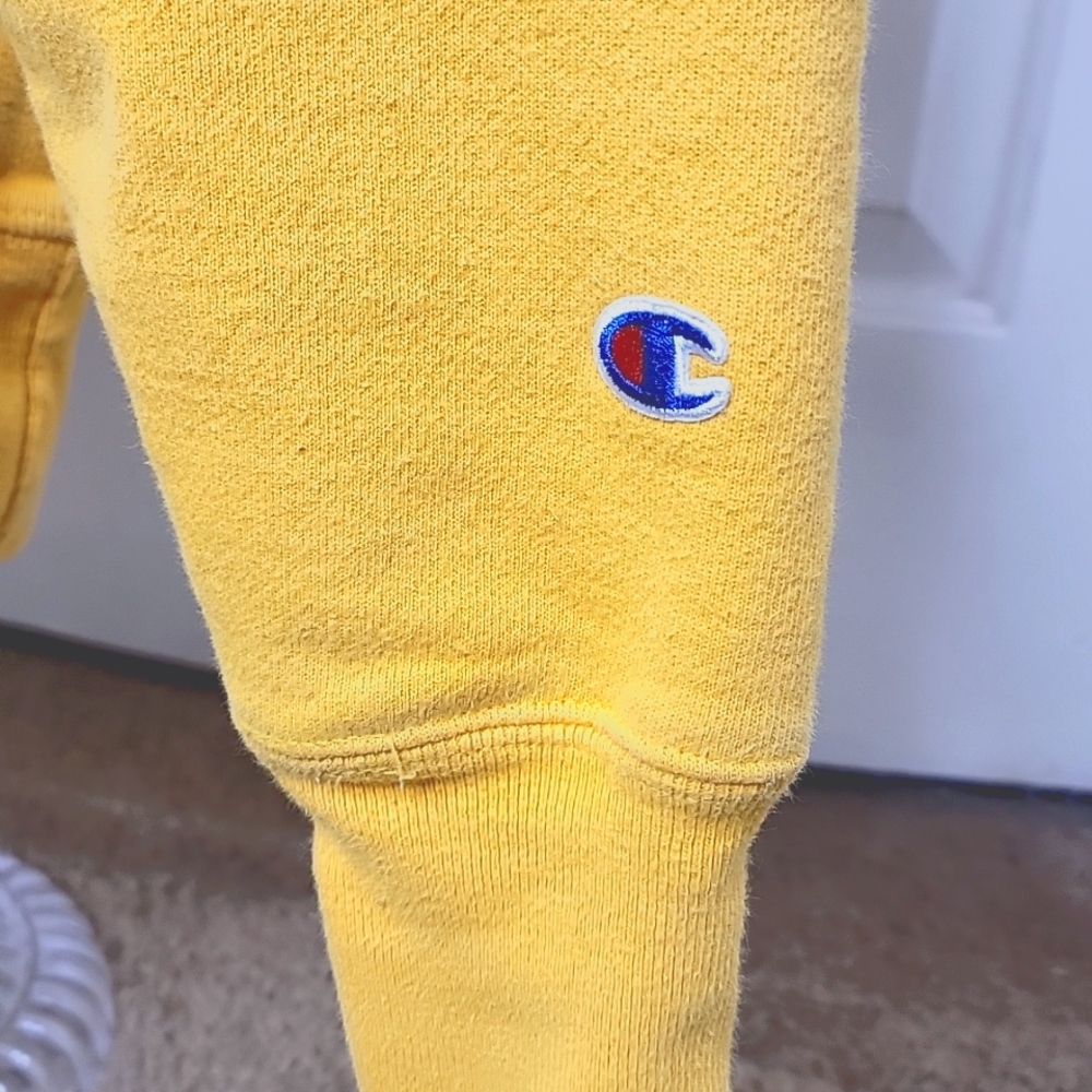 Champion Reverse Weave Flock Script Sleeve Hoodie… - image 4